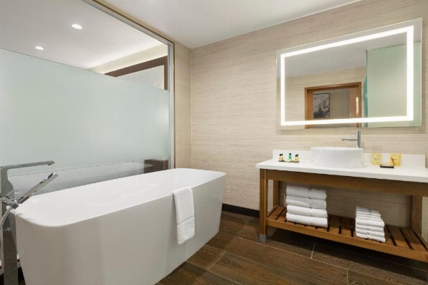 Wyndham Anaheim image 60